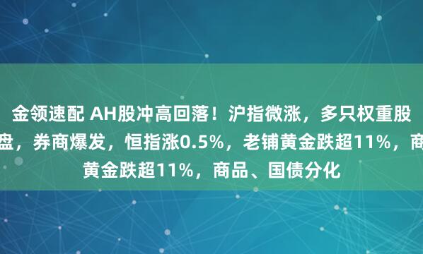 金領(lǐng)速配 AH股沖高回落！滬指微漲，多只權(quán)重股尾盤競價(jià)遭拋盤，券商爆發(fā)，恒指漲0.5%，老鋪黃金跌超11%，商品、國債分化